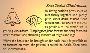 CCF06092013_00006 modified