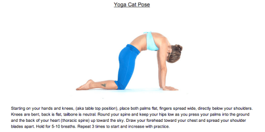 Screen-Shot-2013-09-02-at-11.01.31-AM-ce5c8465c52eca305daef27ca1b95c45-832.2x350-9-crop