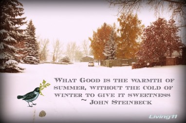 winter_sweetness-e1356671876471
