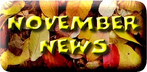 nov_news