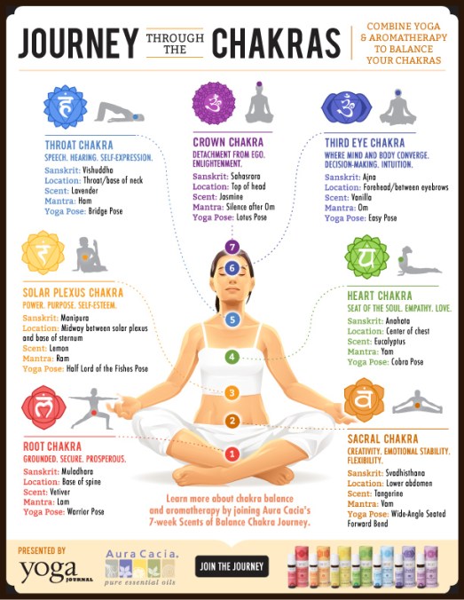 YJ_Aura_Cacia_Infographic_v3_New